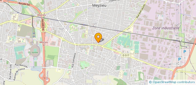 localisation de l'entreprise MONSIEUR AIMERIK MINJAT à MEYZIEU