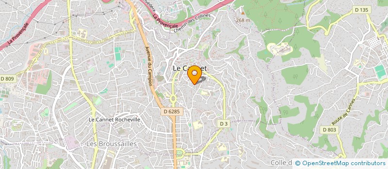 localisation de l'entreprise MONSIEUR AISSA BARA  LE CANNET