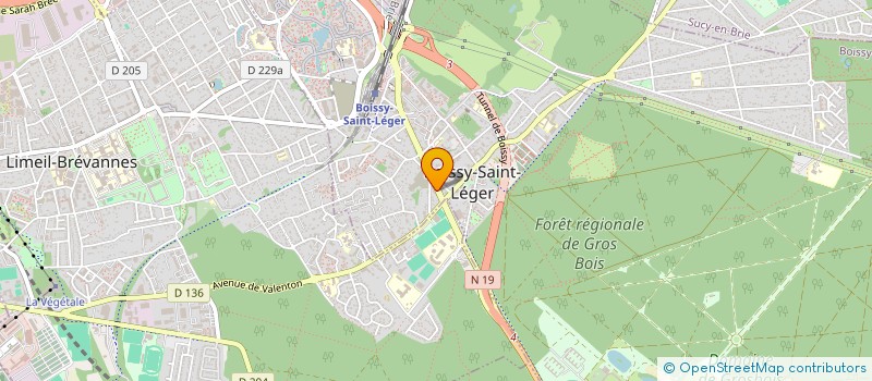 localisation de l'entreprise MONSIEUR AJMOL ALI à BOISSY-SAINT-LEGER