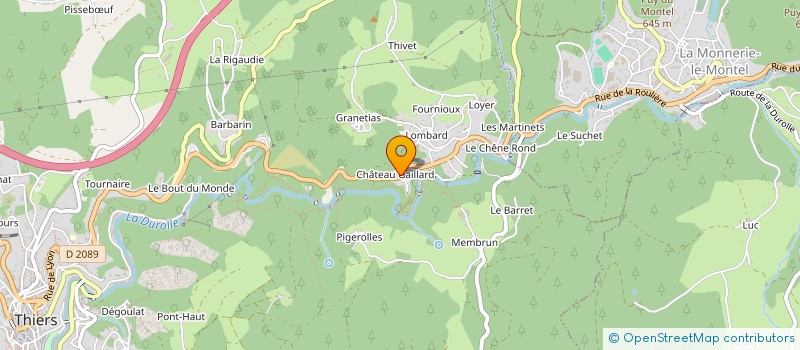 localisation de l'entreprise MONSIEUR AKHMED SALUEV  THIERS