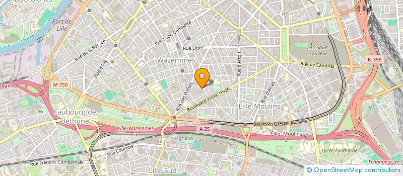 localisation de l'entreprise MONSIEUR AKHTAR SHERZAD  LILLE