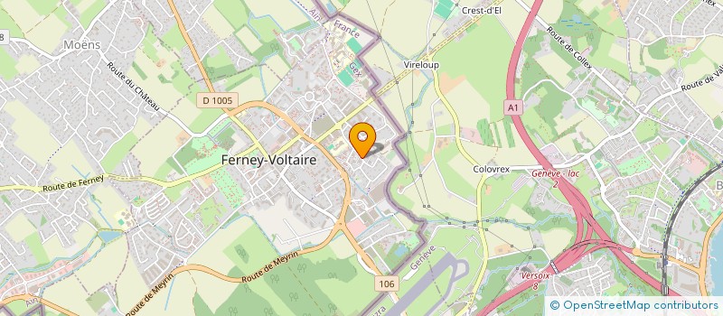 localisation de l'entreprise MONSIEUR AKPELOUZIM ATAKE à FERNEY-VOLTAIRE