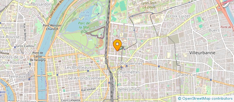 localisation de l'entreprise MONSIEUR AKRAM NAIMI  VILLEURBANNE