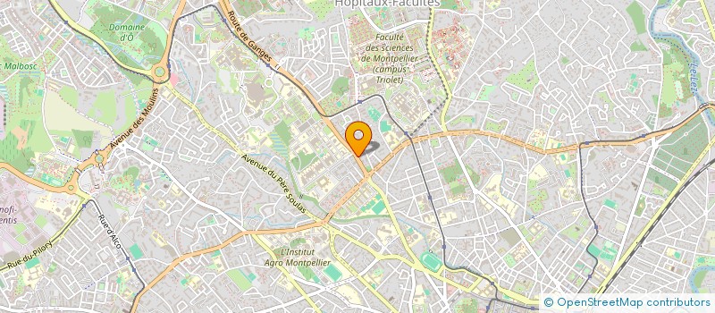 localisation de l'entreprise MONSIEUR ALAAEDDINE DERRAR à MONTPELLIER
