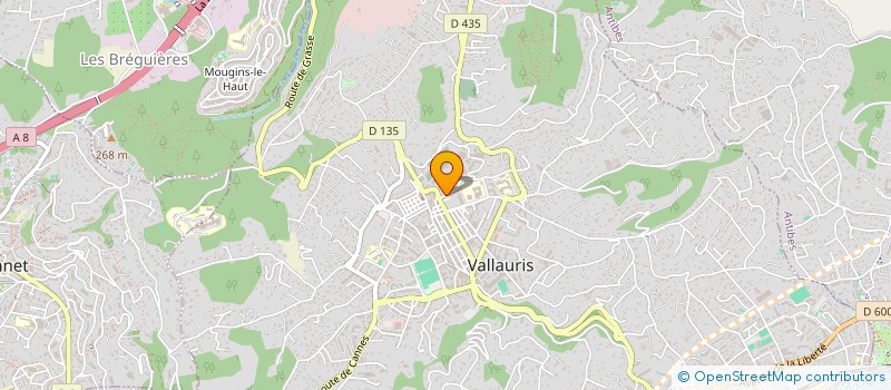 localisation de l'entreprise MONSIEUR ALAEDINE MANSOUR à VALLAURIS