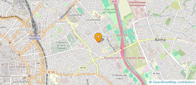 localisation de l'entreprise MONSIEUR ALAIN ACURCIO  TOULOUSE