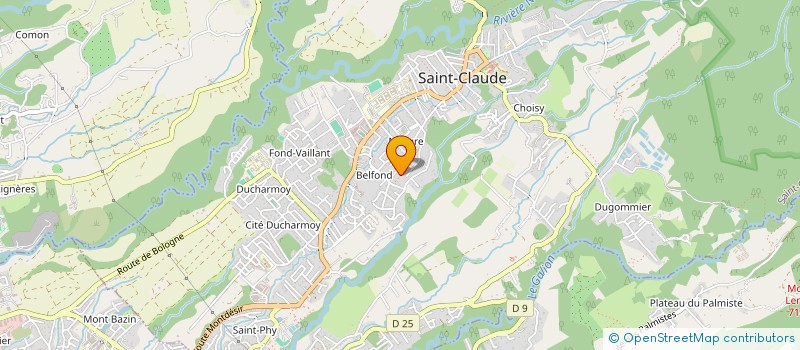 localisation de l'entreprise MONSIEUR ALAIN ANDRE à SAINT-CLAUDE