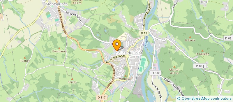 localisation de l'entreprise MONSIEUR ALAIN ARMENGAUD  SALIES-DU-SALAT