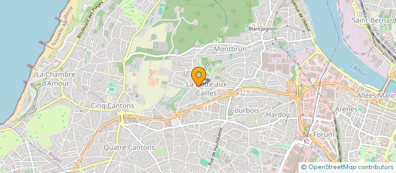 localisation de l'entreprise MONSIEUR ALAIN BENOIT  ANGLET