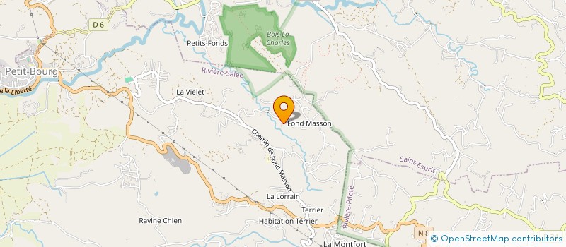 localisation de l'entreprise MONSIEUR ALAIN BONHEUR à RIVIERE-SALEE