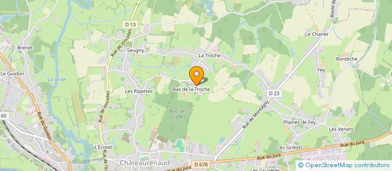 localisation de l'entreprise MONSIEUR ALAIN BOUCHON à LOUHANS
