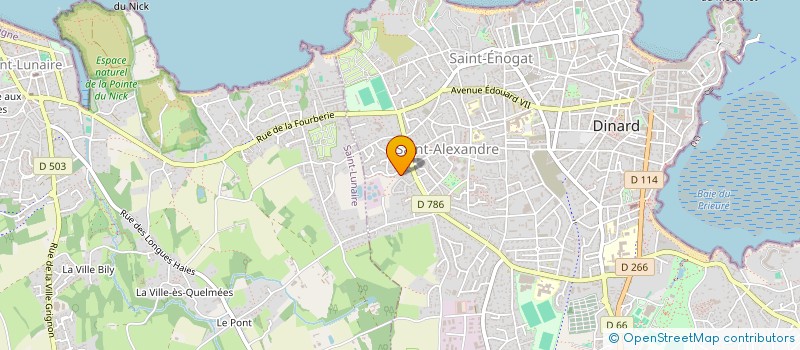 localisation de l'entreprise MONSIEUR ALAIN CALLEGARI  DINARD