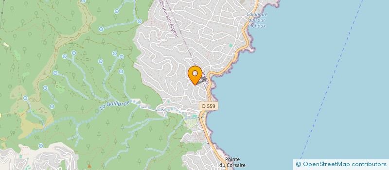 localisation de l'entreprise MONSIEUR ALAIN CASTAGNE  ROQUEBRUNE-SUR-ARGENS