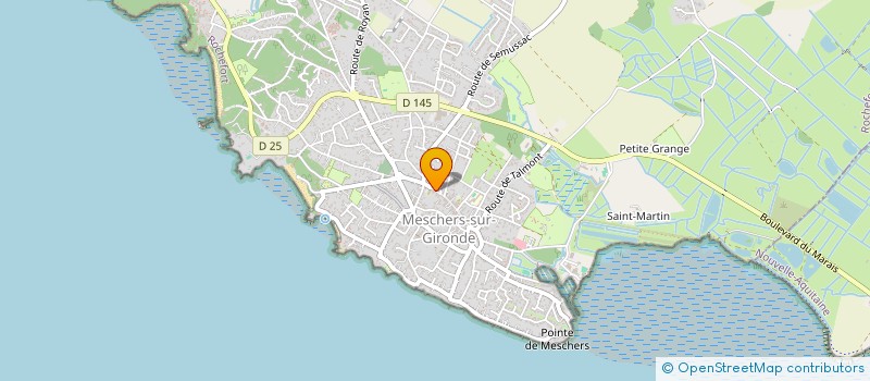 localisation de l'entreprise MONSIEUR ALAIN CHAUVIN  MESCHERS-SUR-GIRONDE