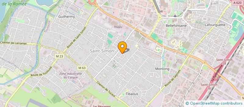 localisation de l'entreprise MONSIEUR ALAIN COELHO  TOULOUSE