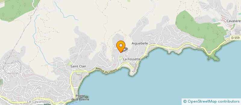 localisation de l'entreprise MONSIEUR ALAIN CONIL à LE LAVANDOU