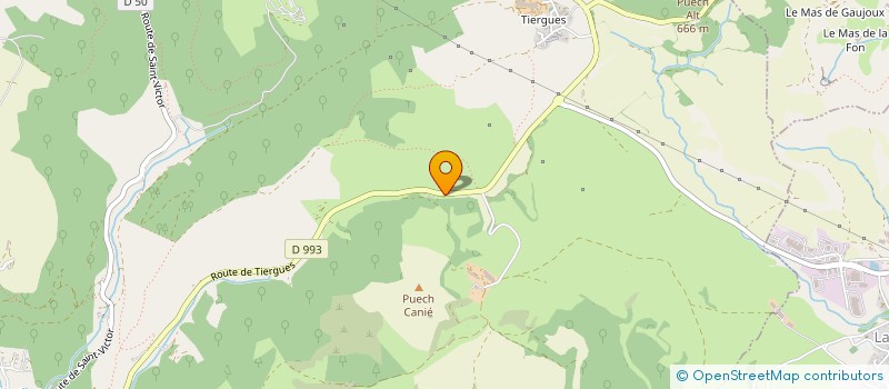 localisation de l'entreprise MONSIEUR ALAIN DANIS  SAINT-AFFRIQUE