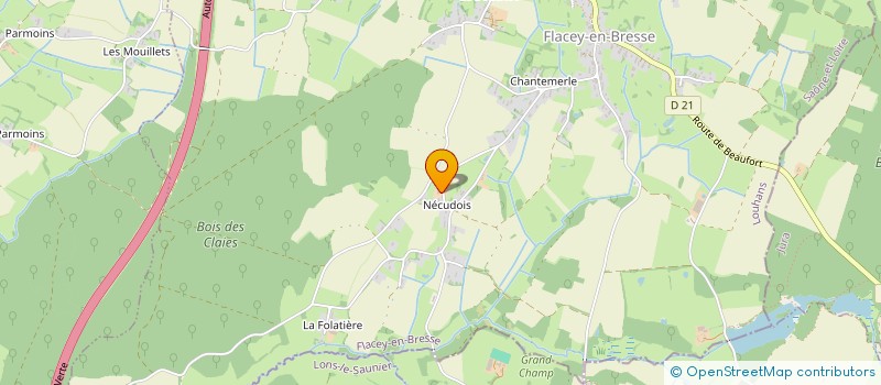 localisation de l'entreprise MONSIEUR ALAIN DECUIGNIERES à FLACEY-EN-BRESSE