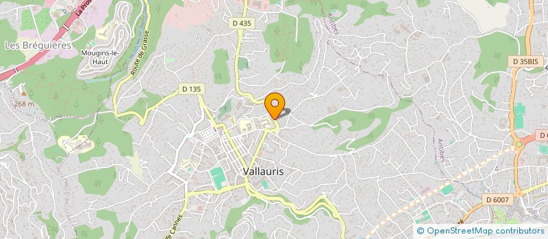 localisation de l'entreprise MONSIEUR ALAIN DELARUE à VALLAURIS