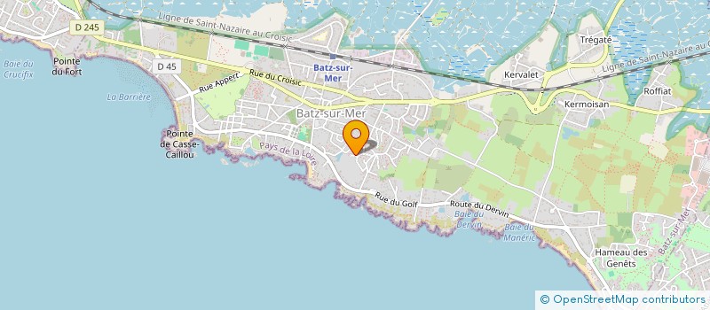 localisation de l'entreprise MONSIEUR ALAIN DELHAYE  BATZ-SUR-MER