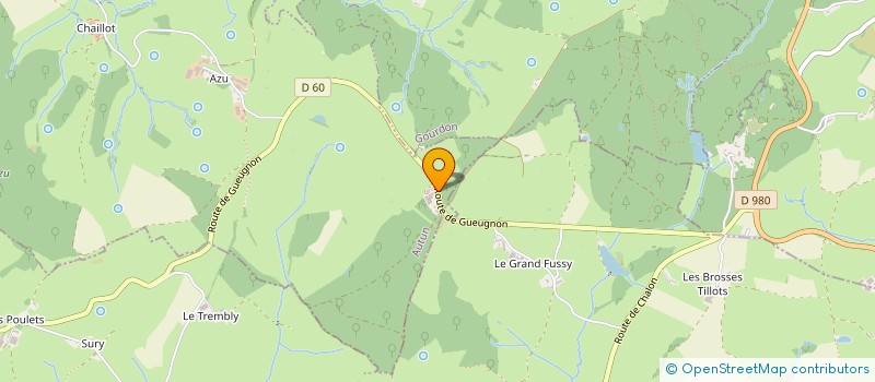 localisation de l'entreprise MONSIEUR ALAIN DEMEUZOI  SAINT-ROMAIN-SOUS-GOURDON