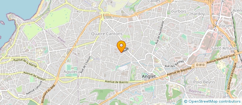 localisation de l'entreprise MONSIEUR ALAIN DICHON à ANGLET