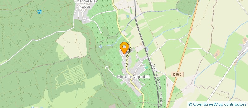 localisation de l'entreprise MONSIEUR ALAIN DOURCHE  MONT-LE-VIGNOBLE