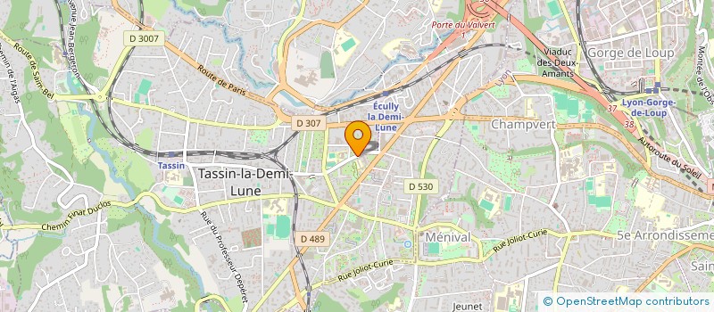 localisation de l'entreprise MONSIEUR ALAIN FERRANDEZ  TASSIN-LA-DEMI-LUNE