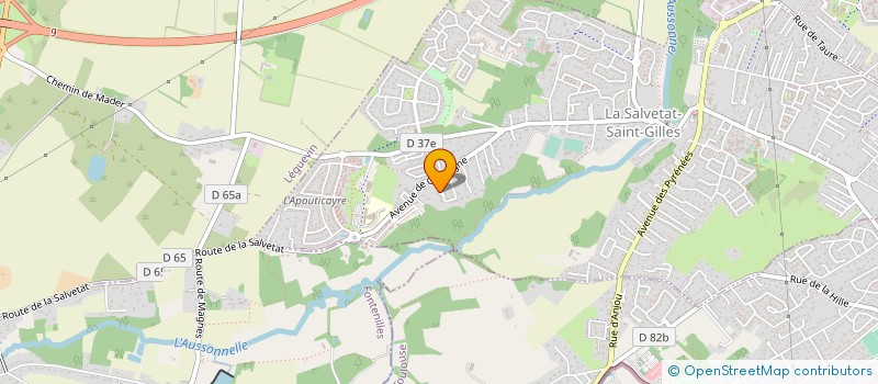 localisation de l'entreprise MONSIEUR ALAIN FLEURANCEAU  LA SALVETAT-SAINT-GILLES