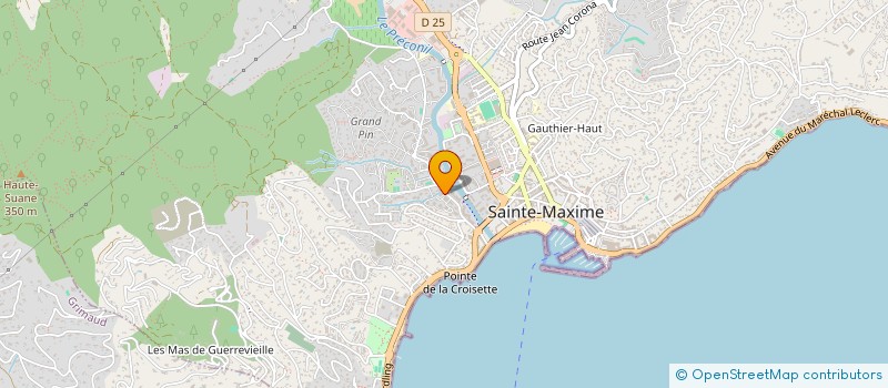 localisation de l'entreprise MONSIEUR ALAIN FLORENT à SAINTE-MAXIME