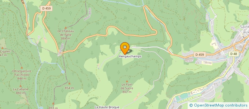 localisation de l'entreprise MONSIEUR ALAIN FLORENTZ  SAINTE-MARIE-AUX-MINES