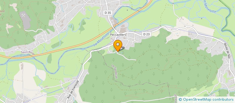 localisation de l'entreprise MONSIEUR ALAIN GROSDEMOUGE  LE SYNDICAT