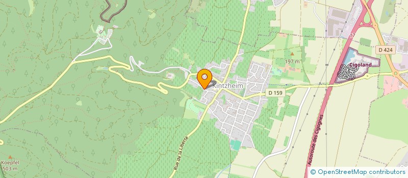 localisation de l'entreprise MONSIEUR ALAIN KRUGER  KINTZHEIM