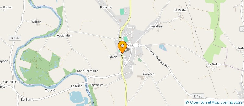 localisation de l'entreprise MONSIEUR ALAIN LE BRAS  NEULLIAC