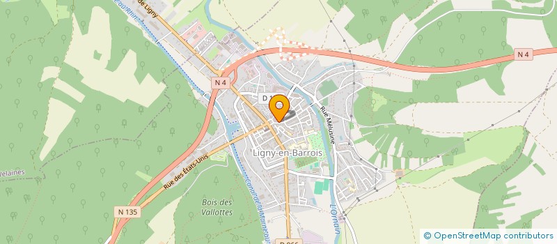 localisation de l'entreprise MONSIEUR ALAIN LEJEUNE à LIGNY-EN-BARROIS