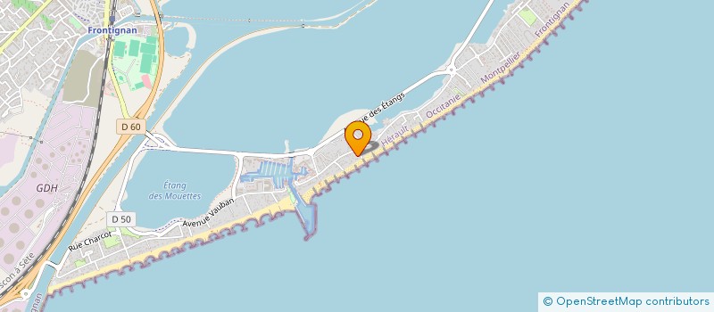 localisation de l'entreprise MONSIEUR ALAIN LUCCIONI à FRONTIGNAN