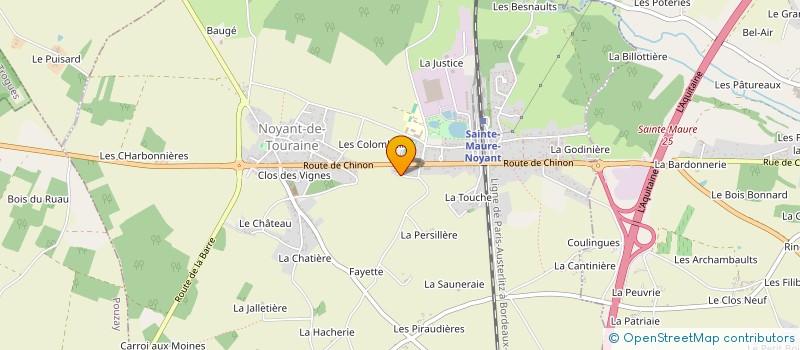 localisation de l'entreprise MONSIEUR ALAIN MARCHASSON à NOYANT-DE-TOURAINE