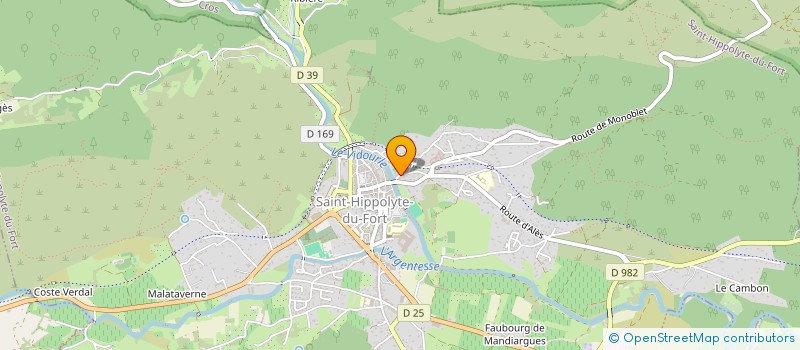 localisation de l'entreprise MONSIEUR ALAIN MOZET  SAINT-HIPPOLYTE-DU-FORT