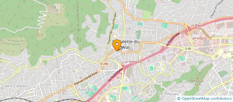 localisation de l'entreprise MONSIEUR ALAIN NEGRO à LA VALETTE-DU-VAR