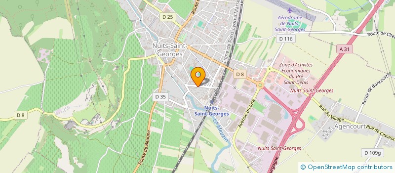 localisation de l'entreprise MONSIEUR ALAIN NICOLAS  NUITS-SAINT-GEORGES