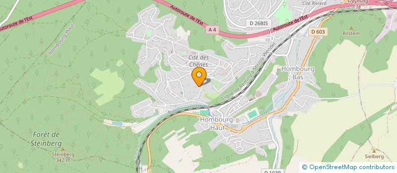 localisation de l'entreprise MONSIEUR ALAIN PEDRAZZANI  HOMBOURG-HAUT