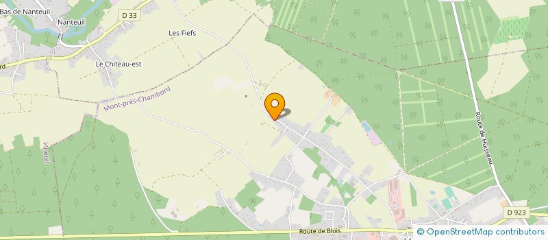 localisation de l'entreprise MONSIEUR ALAIN PINON  MONT-PRES-CHAMBORD