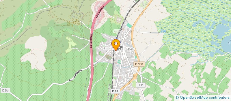 localisation de l'entreprise MONSIEUR ALAIN PUIG  SALSES-LE-CHATEAU