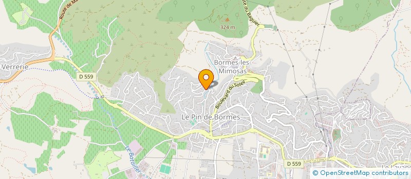 localisation de l'entreprise MONSIEUR ALAIN REMY  BORMES-LES-MIMOSAS