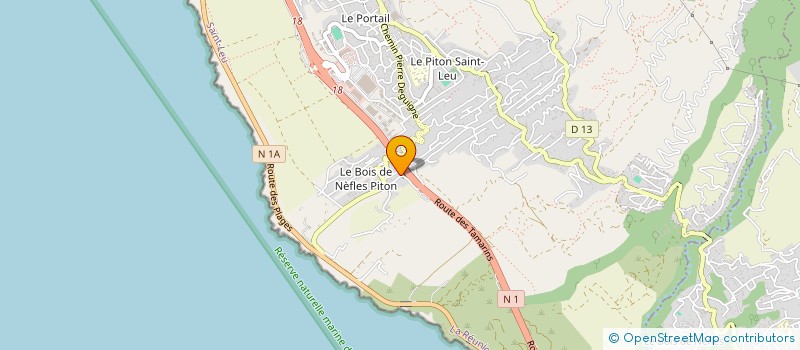 localisation de l'entreprise MONSIEUR ALAIN ROYNETTE à SAINT-LEU