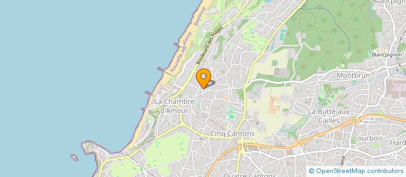 localisation de l'entreprise MONSIEUR ALAIN SAINTEMARTINE à ANGLET