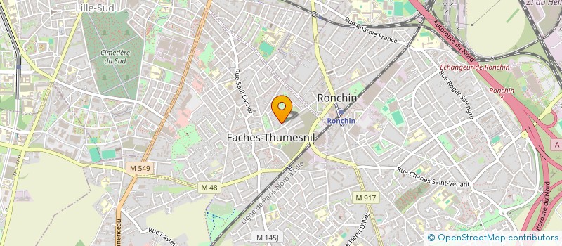 localisation de l'entreprise MONSIEUR ALAIN SALASSE à FACHES-THUMESNIL