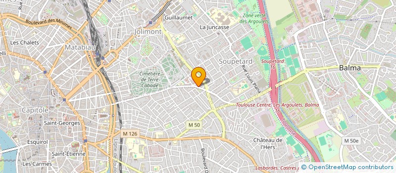 localisation de l'entreprise MONSIEUR ALAIN SALUMU MANDALA  TOULOUSE