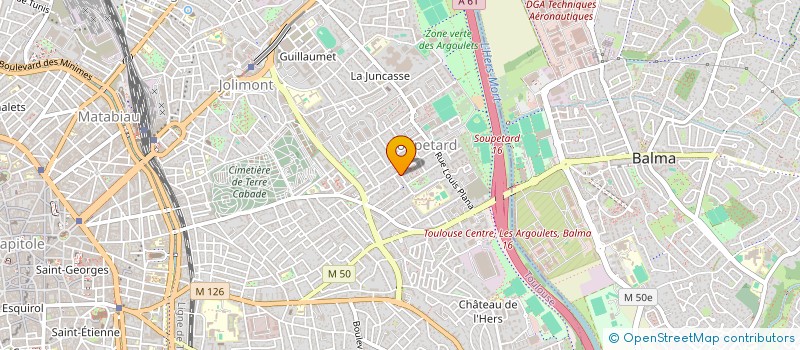 localisation de l'entreprise MONSIEUR ALAIN SEGUI à TOULOUSE
