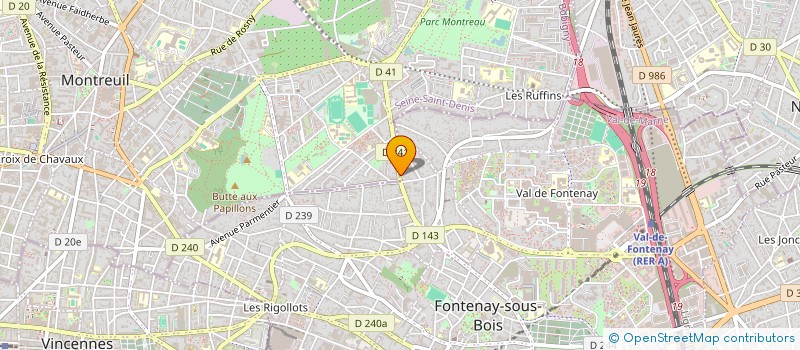 localisation de l'entreprise MONSIEUR ALAIN TSAMAS à FONTENAY-SOUS-BOIS